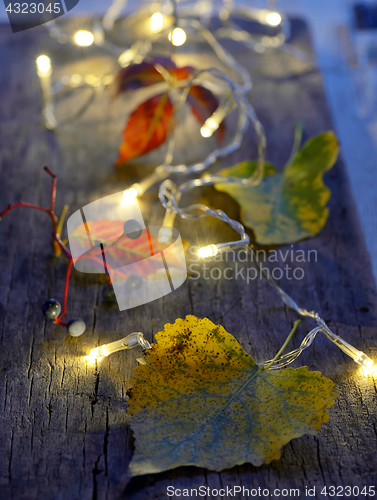 Image of Autumn leaves on wooden board 