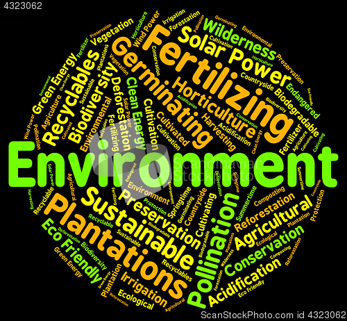 Image of Environment Word Means Eco Systems And Ecosystem