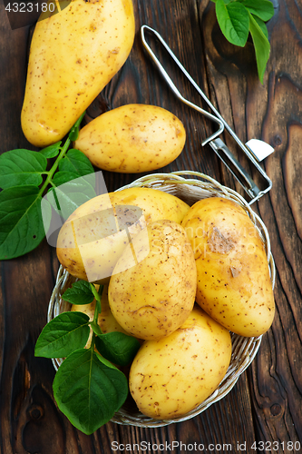 Image of raw potato