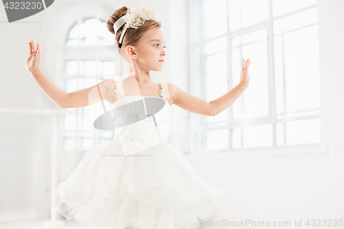 Image of Little ballerina girl in a tutu. Adorable child dancing classical ballet in a white studio.