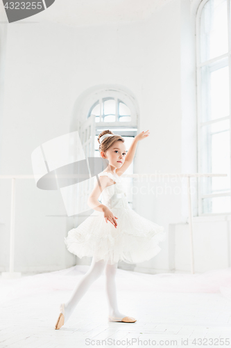 Image of Little ballerina girl in a tutu. Adorable child dancing classical ballet in a white studio.