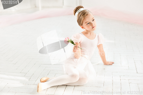 Image of The little balerina in white tutu in class at the ballet school