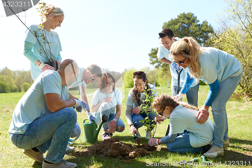 Image of group of volunteers planting tree in park