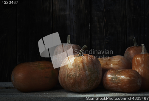 Image of Stack of pumpkins after harvesting