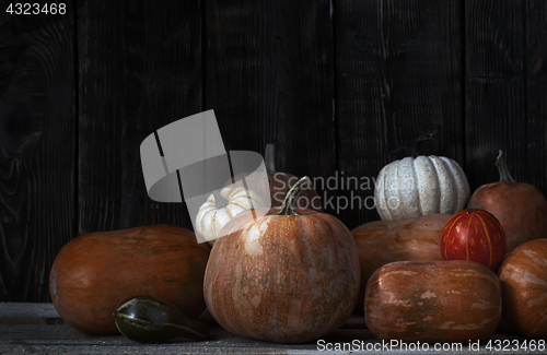 Image of Stack of pumpkins after harvesting