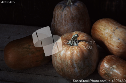 Image of Group of pumpkins on a wooden table