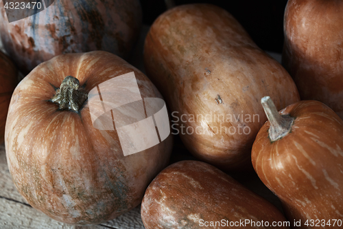 Image of Group of pumpkins on a wooden table