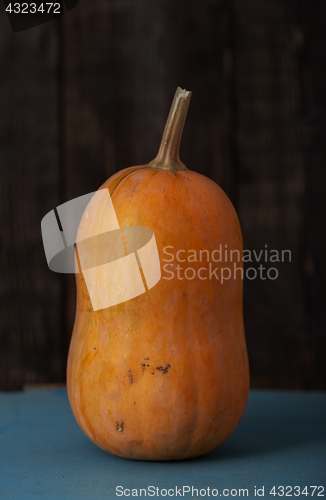 Image of Pumpkin on a table