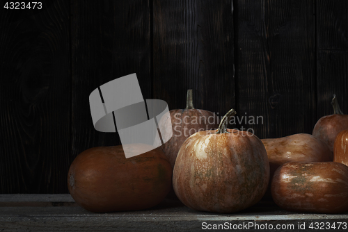 Image of Stack of pumpkins after harvesting