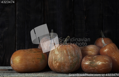 Image of Stack of pumpkins after harvesting