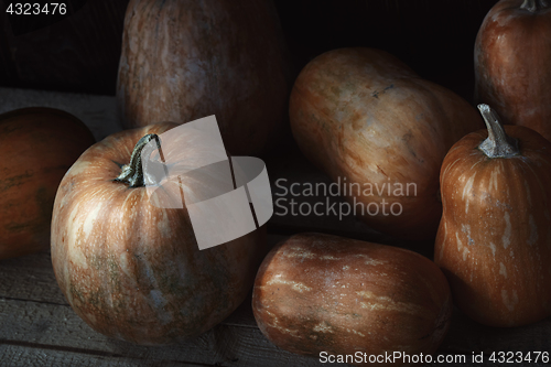 Image of Group of pumpkins on a wooden table