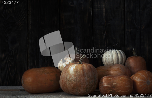 Image of Stack of pumpkins after harvesting