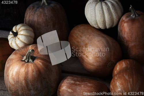 Image of Group of pumpkins on a wooden table