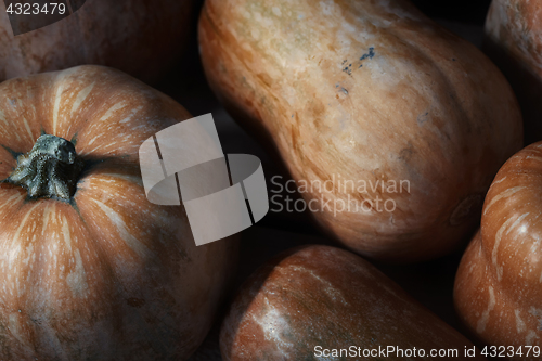 Image of Stack of pumpkins on a wooden table