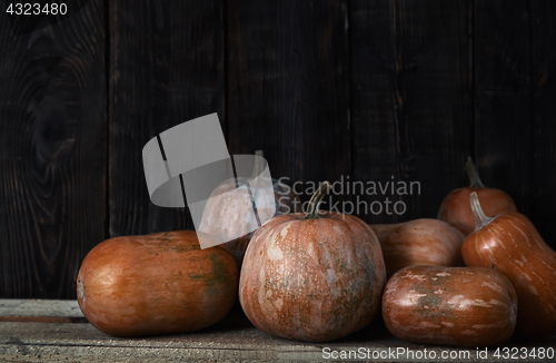 Image of Stack of pumpkins after harvesting