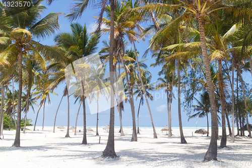 Image of Perfect white sandy beach with palm trees, Paje, Zanzibar, Tanzania