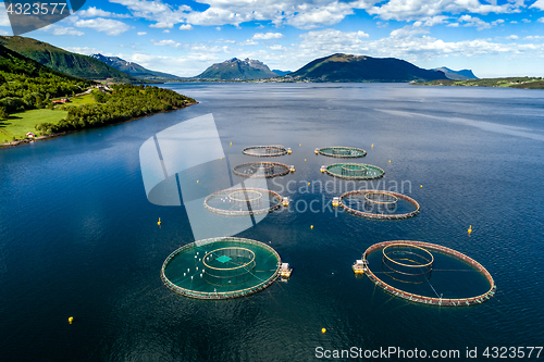 Image of Farm salmon fishing Aerial FPV drone photography.