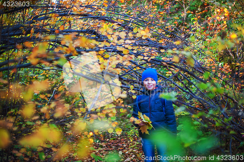 Image of Beauty boy at autumn park