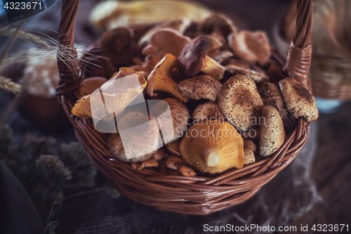 Image of Different mushrooms in basket