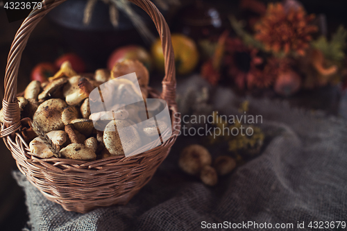 Image of Different mushrooms in basket