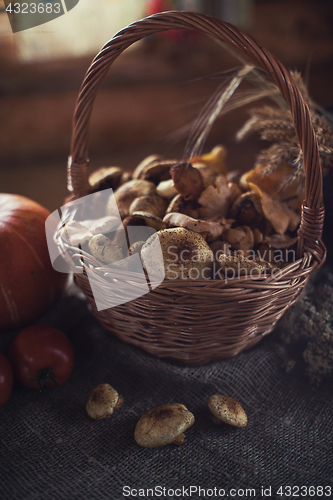 Image of Different mushrooms in basket