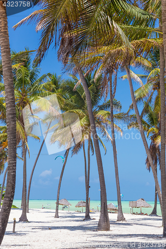 Image of Perfect white sandy beach with palm trees, Paje, Zanzibar, Tanzania