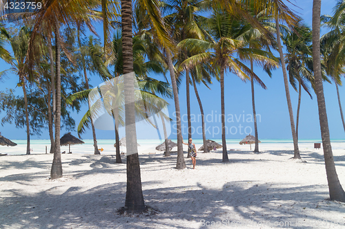 Image of Perfect white sandy beach with palm trees, Paje, Zanzibar, Tanzania