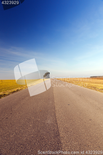 Image of rural road, tree