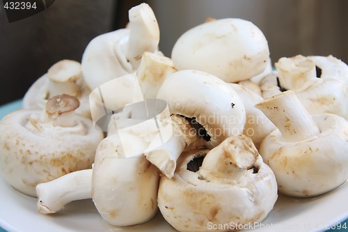 Image of Fresh whole button mushrooms