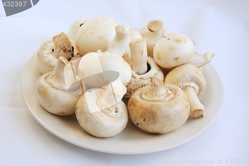 Image of Fresh whole button mushrooms