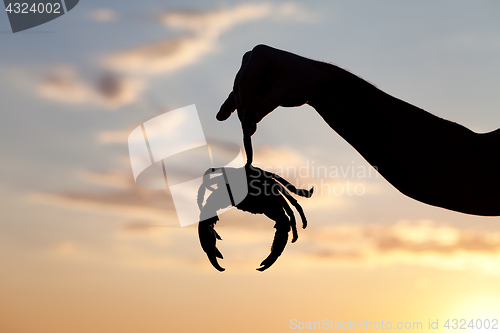Image of Silhouette of hand with caught crab and sunset sky