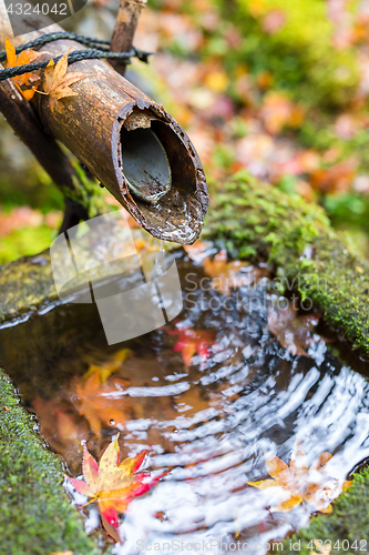 Image of Traditional bamboo fountain