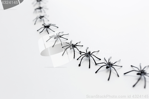 Image of black toy spiders chain over white background