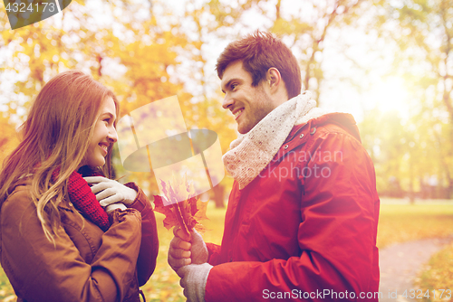 Image of happy couple with maple leaves in autumn park