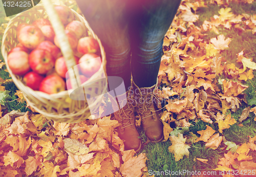 Image of woman with basket of apples at autumn garden