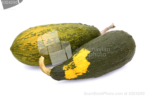 Image of Two large warty ornamental gourds