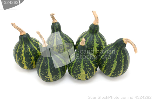 Image of Group of six green spinning gourds