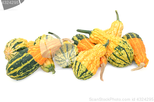 Image of Assortment of orange, green and yellow ornamental gourds