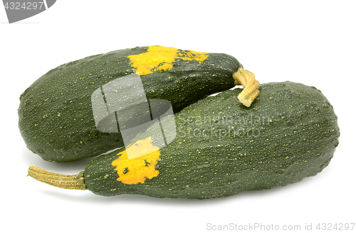 Image of Two large marrow-shaped warty ornamental gourds