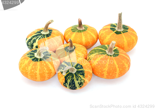 Image of Group of seven small disc-shaped ornamental gourds