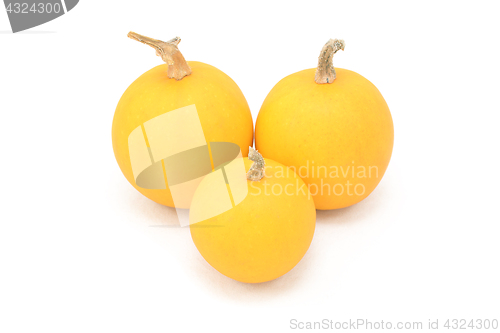 Image of Three smooth-skinned orange ornamental gourds