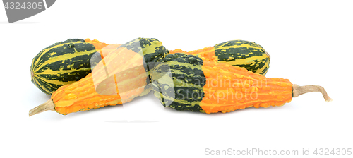 Image of Four pear-shaped ornamental gourds with orange and green stripes