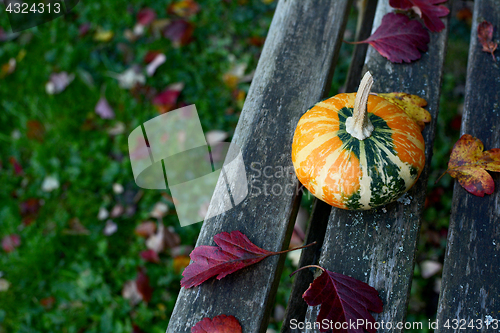 Image of Orange and green disc-shaped ornamental gourd on wooden bench