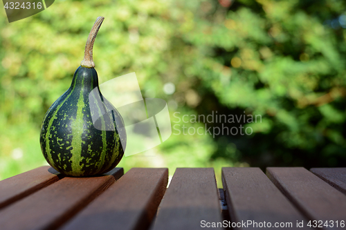 Image of Green spinning ornamental gourd on wooden table 