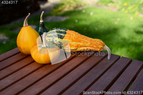 Image of Assorted smooth and warty ornamental gourds on wooden table