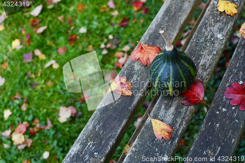 Image of Green spinning gourd on a weathered wooden bench