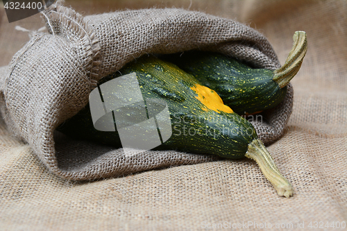 Image of Large green and yellow ornamental gourds in burlap sack