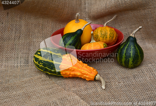 Image of Red bowl of green and orange ornamental gourds
