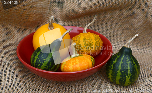 Image of Small ornamental gourds in a red bowl 