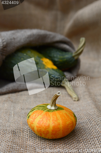 Image of Disc-shaped ornamental gourd and large green gourds on hessian